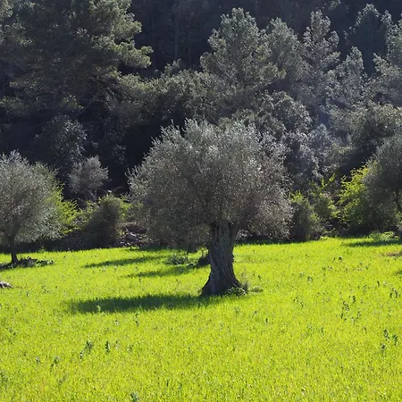 Romarin Hébergement de vacances Mirabel-aux-Baronnies
