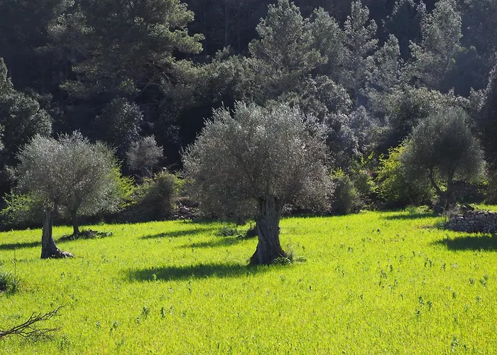 Romarin Hébergement de vacances Mirabel-aux-Baronnies